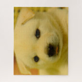 korean Jindo Dog. ジグソーパズル (縦)