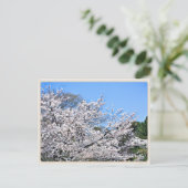 Kōriyama Castle ポストカード (スタンド正面)