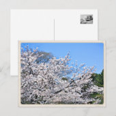 Kōriyama Castle ポストカード (正面/裏面)