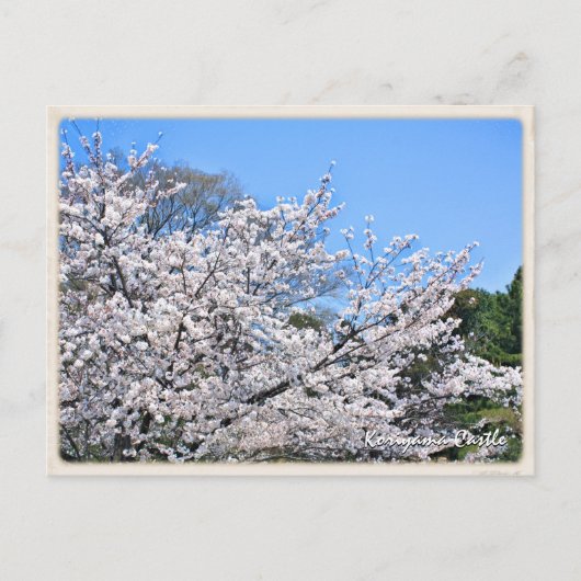 Kōriyama Castle ポストカード (正面)