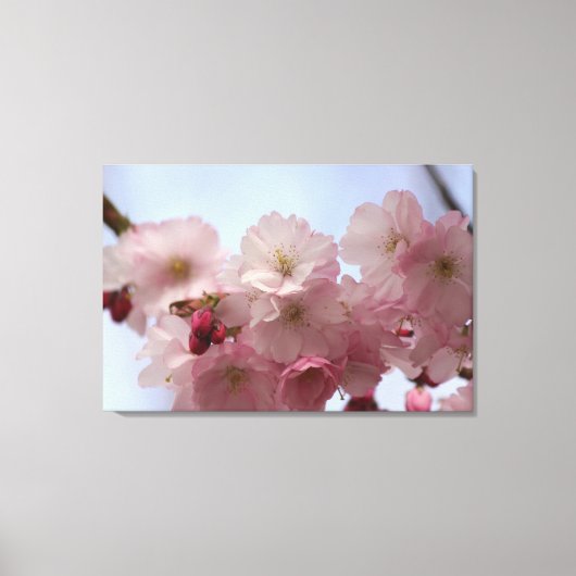 Körsbärsblommor - Canvas キャンバスプリント (正面)