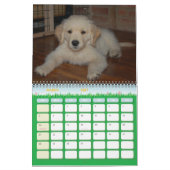 Kosmoの最初年 カレンダー (3月 2027)