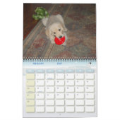 Kosmoの最初年 カレンダー (2月 2027)