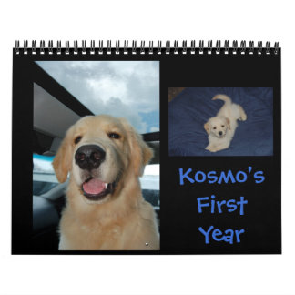 Kosmoの最初年 カレンダー