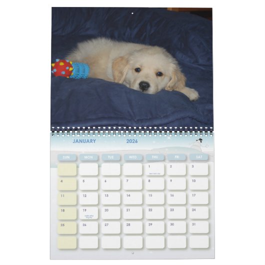 Kosmoの最初年 カレンダー (1月 2026)