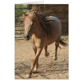 Kotaのランニング