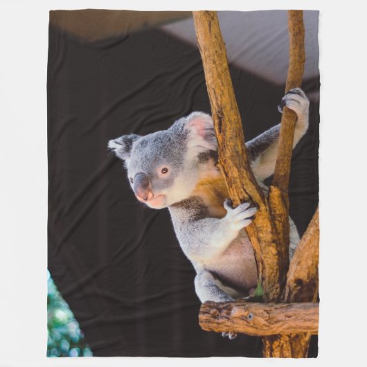 KOWALAくま フリースブランケット (正面)