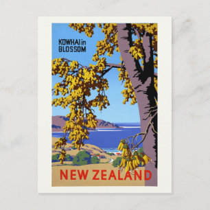 Kowhai in Blossom New Zealand Vintage Poster ポストカード