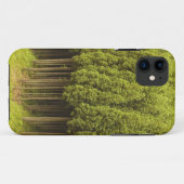 Koya Sugiのヒマラヤスギ木 Case-Mate iPhoneケース (裏面(横))