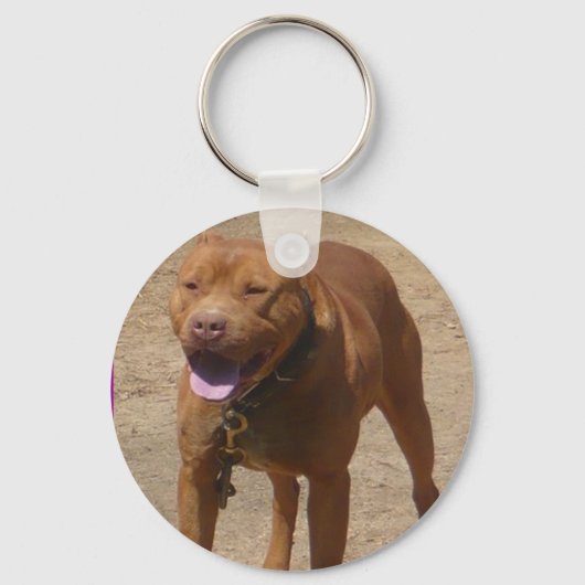 KozHomeKeyChain キーホルダー (正面)