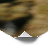 Kracht patser Fubby aan Prikkeldraad. ポスター (コーナー)