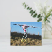 Kracht patser Fubby aan Prikkeldraad. ポストカード (スタンド正面)