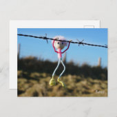 Kracht patser Fubby aan Prikkeldraad. ポストカード (正面/裏面)