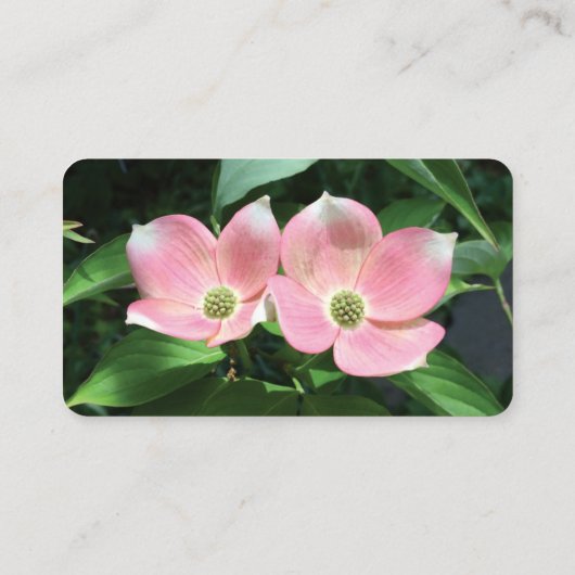 Kraft丸い角の名刺（写真付） 名刺 (裏面)