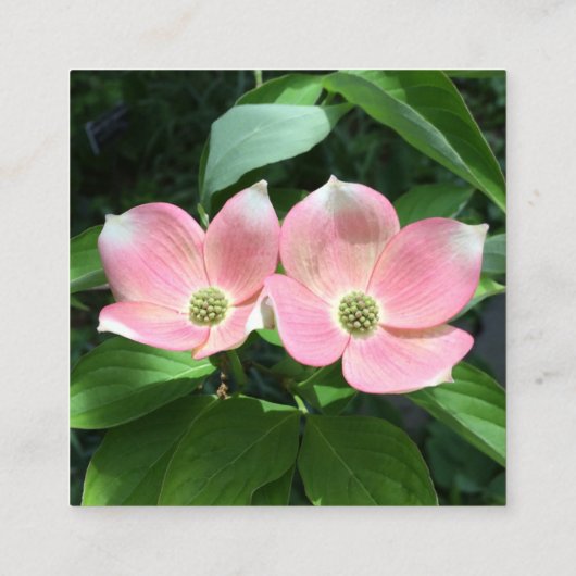 Kraft Square名刺（写真とロゴ付き） スクエア名刺 (裏面)