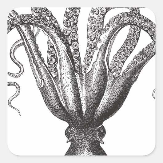 ☞ Krake / The Kraken Vintage スクエアシール (正面)
