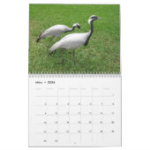 Kraniche カレンダー (3月 2026)