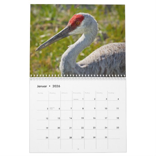 Kraniche カレンダー (1月 2026)