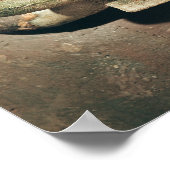 Krater, detail of the handle ポスター (角)