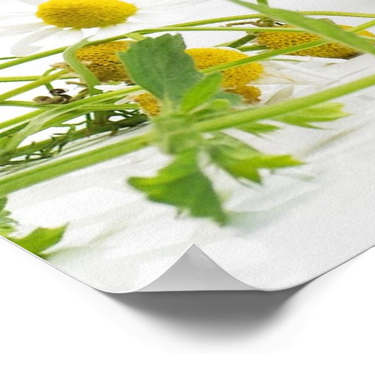 Kräutergarten ポスター (角)