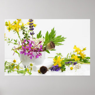 Kräutergarten ポスター