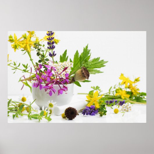 Kräutergarten ポスター (正面)