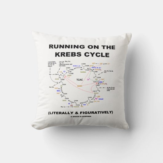 Krebs周期(科学のユーモア)で走ること クッション (正面)