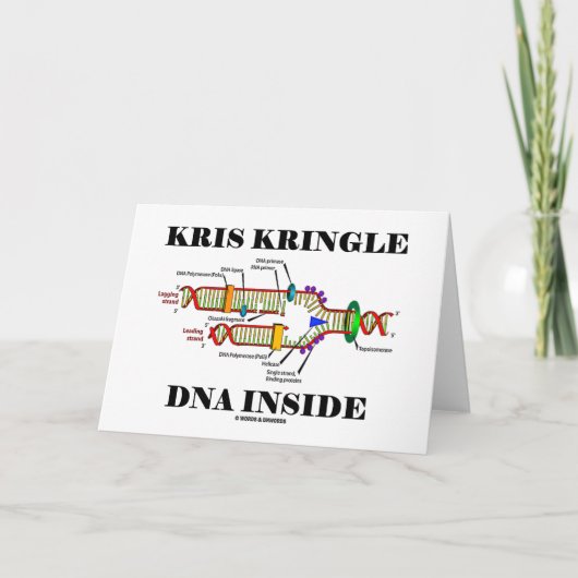 Kris Kringle DNAの内部(DNAの写し) シーズンカード (正面)