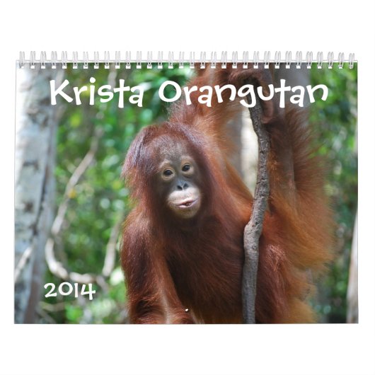 Kristaのオランウータンの2014年の野性生物の写真撮影 カレンダー (カバー)