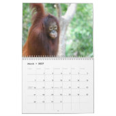 Kristaのオランウータンの2014年の野性生物の写真撮影 カレンダー (3月 2027)
