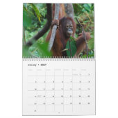 Kristaのオランウータンの2014年の野性生物の写真撮影 カレンダー (1月 2027)