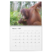 Kristaのオランウータンの2014年の野性生物の写真撮影 カレンダー (2月 2027)
