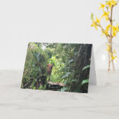 Krista Orangutanがインドネシアの熱帯雨林を探索 カード (黄色い花)