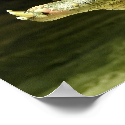 Krokodil / Crocodile ポスター (角)