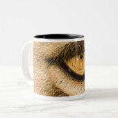 Krugerの国立公園、リンポポ川地域 ツートーンマグカップ (正面左)