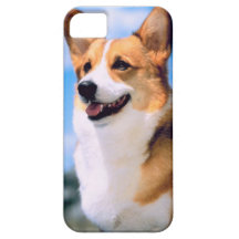 KRWのコーギー犬のiPhone 5の場合