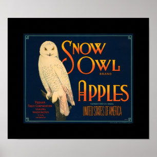 KRWのヴィンテージの雪のフクロウのAppleのフルーツの木枠Lable ポスター
