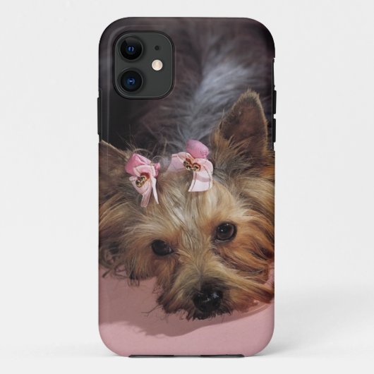 KRWの愛らしいヨークシャーテリア犬のiPhone 5カバー Case-Mate iPhoneケース (裏面)