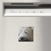 KRWウェスティーマグネット マグネット (インサイチュ (食洗機))