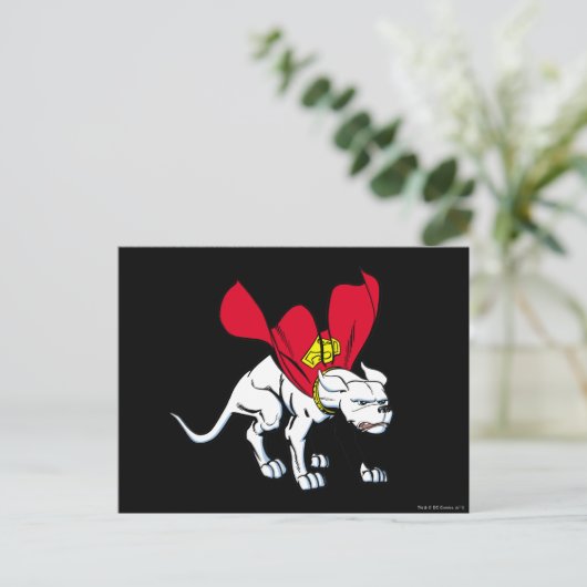 Kryptoのうなり声 ポストカード (スタンド正面)