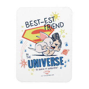 Krypto & すごい man:宇宙最高ので最も有名な友 マグネット