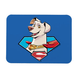 Krypto S-Shieldグラフィック マグネット