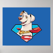 Krypto S-Shield Graphic ポスター (正面)