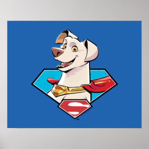 Krypto S-Shield Graphic ポスター