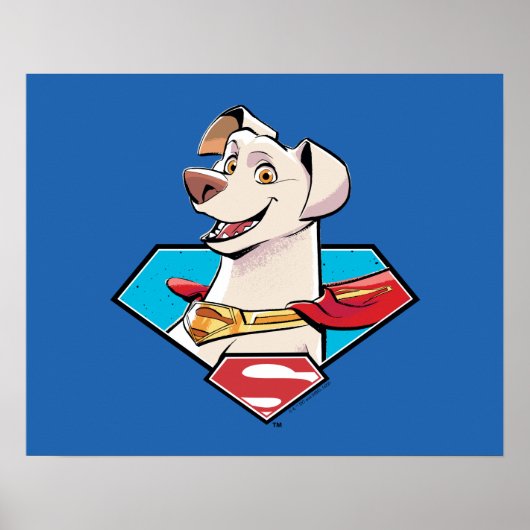 Krypto S-Shield Graphic ポスター (正面)
