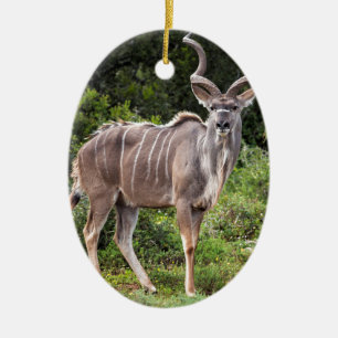 Kudu. セラミックオーナメント