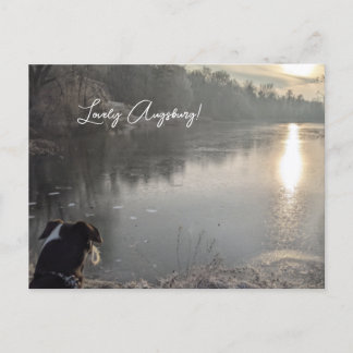 Kuhsee am Morgen mit Hund in Augsburg ポストカード