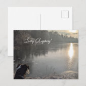 Kuhsee am Morgen mit Hund in Augsburg ポストカード (正面/裏面)