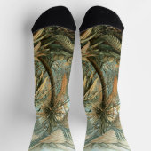 Kunstformen der Natur, Filicinae - Ernst Haeckel ソックス (上部)