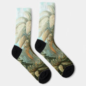 Kunstformen der Natur, Filicinae - Ernst Haeckel ソックス (右)